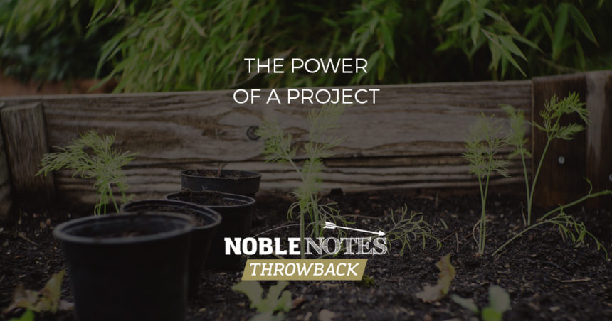 The Power of a Project